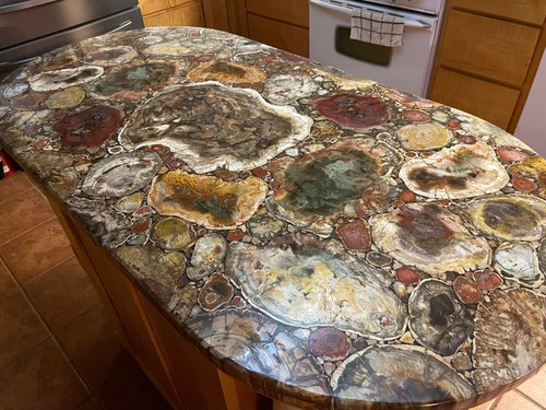 Brown agate petrified wood - brown,